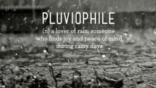 Definition of pluviophile
